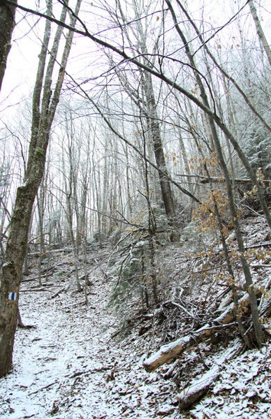 Trekking Route to Ceahlau Mountain - Lutu Rosu