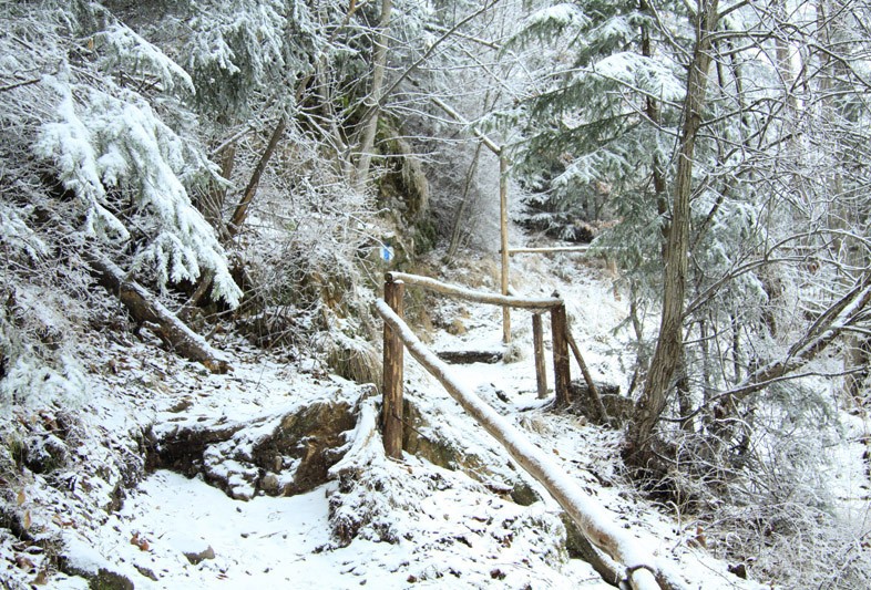 Trekking Route to Ceahlau Mountain - Lutu Rosu