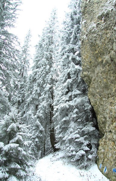 Trekking Route to Ceahlau Mountain - Lutu Rosu