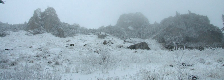 Trekking Route to Ceahlau Mountain - Lutu Rosu