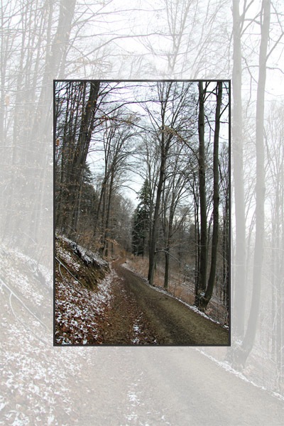 Trekking Route to Cernegura Hill - Piatra Neamt