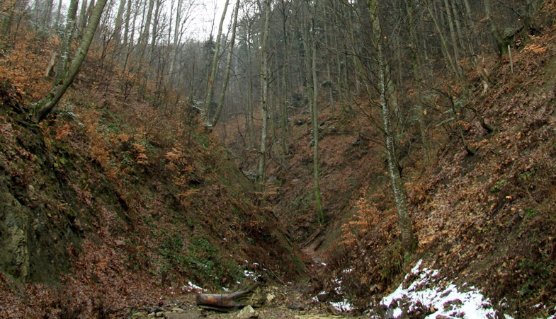 Trekking Route to Cernegura Hill - Piatra Neamt