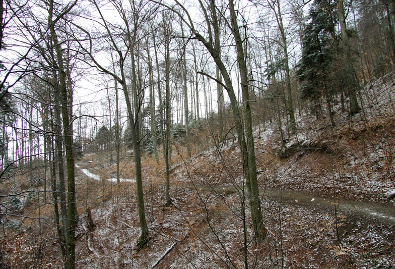 Trekking Route to Cernegura Hill - Piatra Neamt