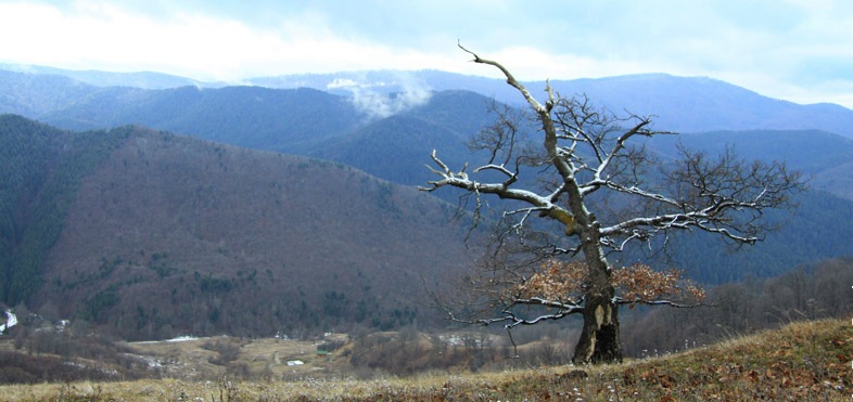 Trekking Route to Cernegura Hill - Piatra Neamt