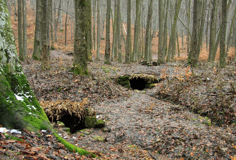 Trekking Route to Cernegura Hill - Piatra Neamt