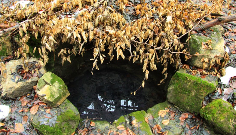 Trekking Route to Cernegura Hill - Piatra Neamt