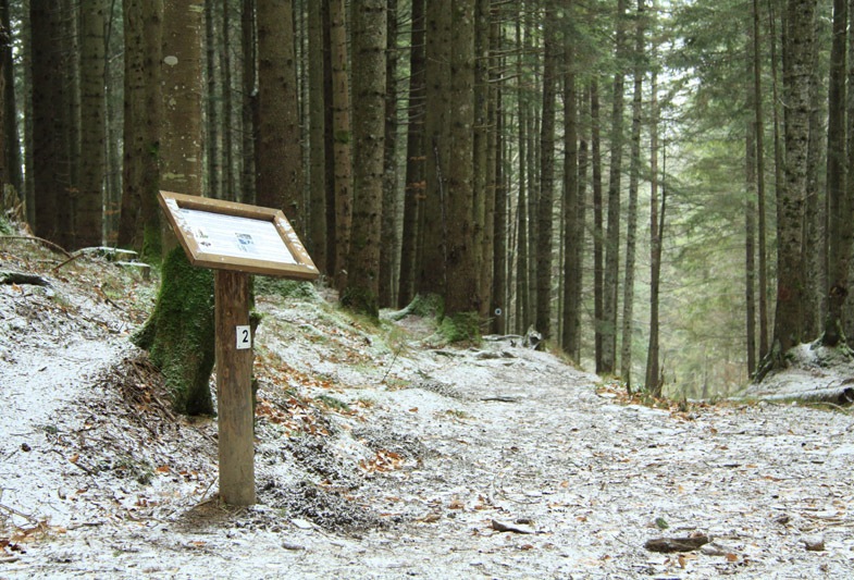 Traseu Trekking Ceahlau - Lutu Rosu iarna
