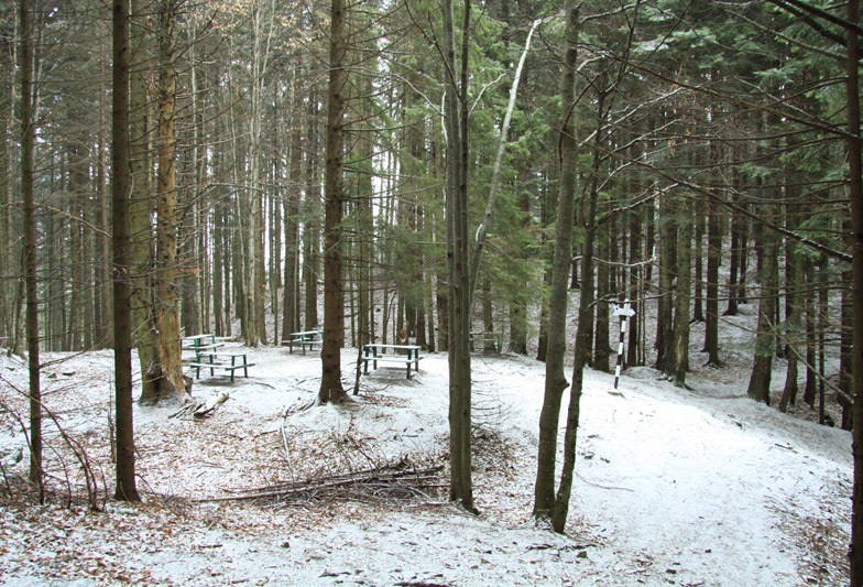 Traseu Trekking Ceahlau - Lutu Rosu iarna
