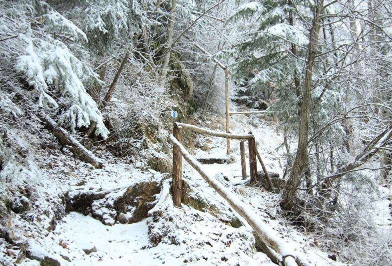 Traseu Trekking Ceahlau - Lutu Rosu iarna