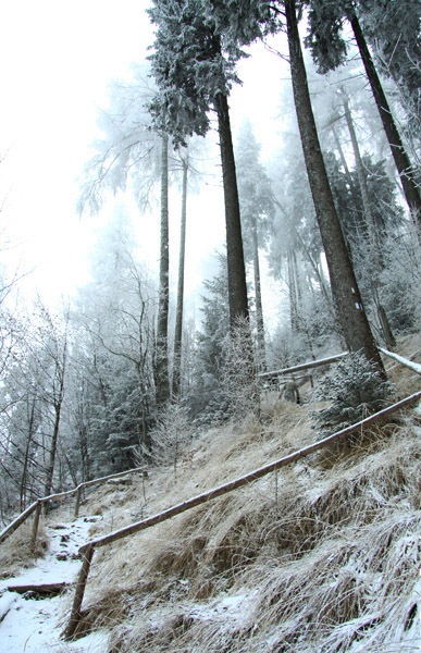 Traseu Trekking Ceahlau - Lutu Rosu iarna