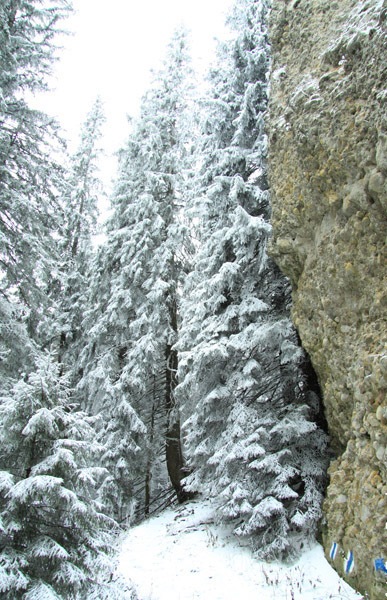 Traseu Trekking Ceahlau - Lutu Rosu iarna