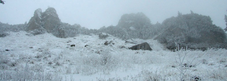 Traseu Trekking Ceahlau - Lutu Rosu iarna
