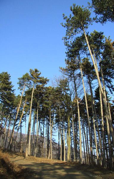 Traseu Trekking Stanca 3 Caldari