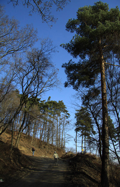 Traseu Trekking Stanca 3 Caldari