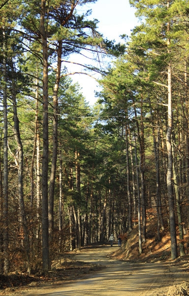 Traseu Trekking Stanca 3 Caldari