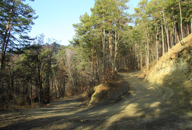 Traseu Trekking Stanca 3 Caldari