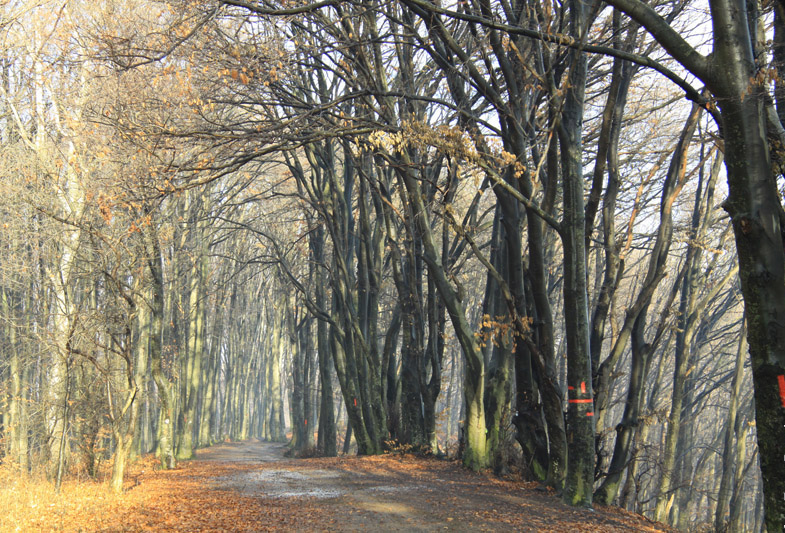 Traseu Trekking Stanca 3 Caldari