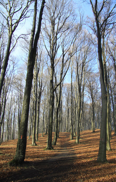 Traseu Trekking Stanca 3 Caldari
