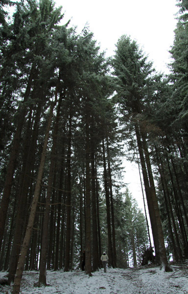 Traseu Trekking Cernegura