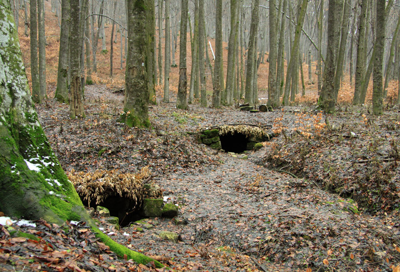 Traseu Trekking Cernegura