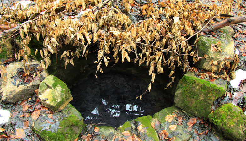 Traseu Trekking Cernegura