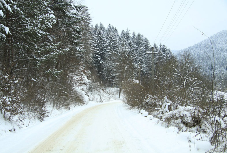 Traseu Trekking Dealul Batca Doamnei