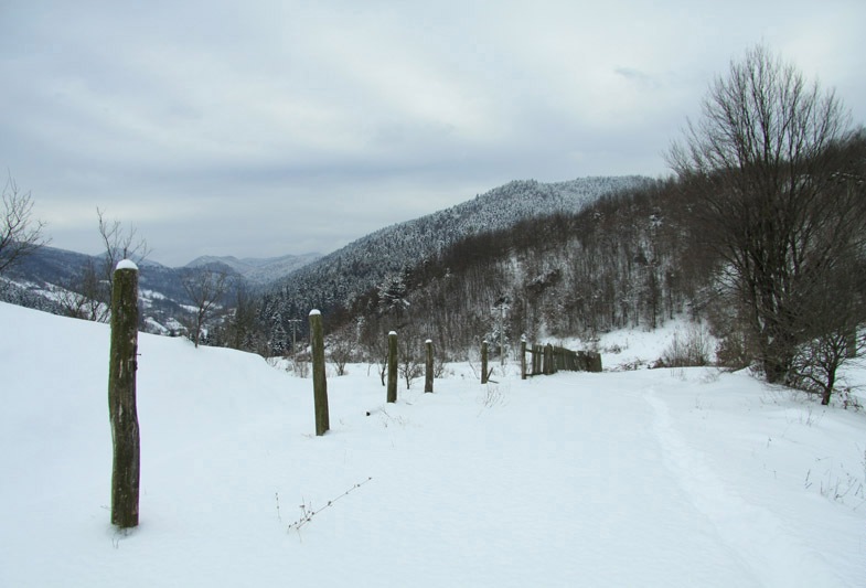 Traseu Trekking Dealul Batca Doamnei