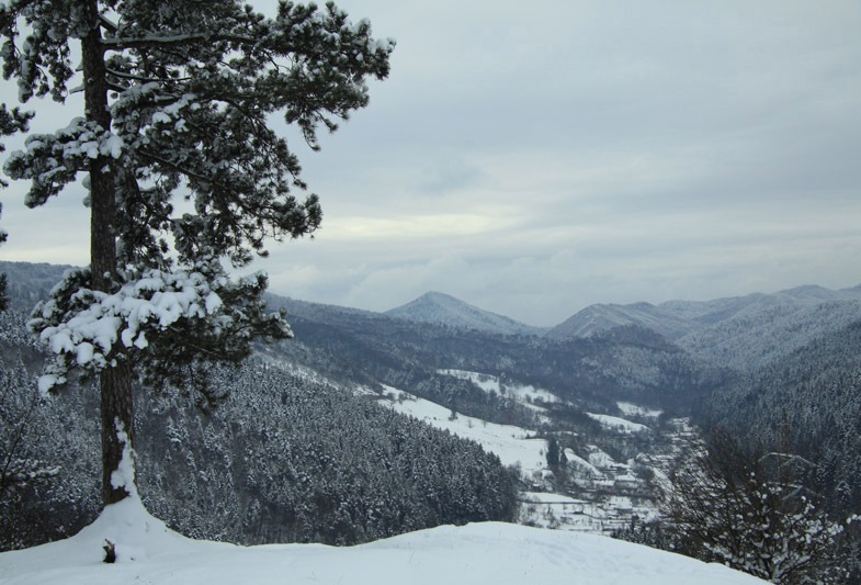 Traseu Trekking Dealul Batca Doamnei