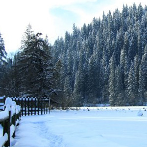 dantela-de-gheata-in-cheile-bicazului
