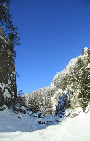 Cheile Sugaului Iarna