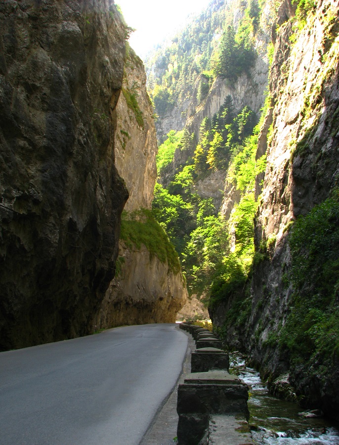 Pur și simplu Neamț – fotografia 5