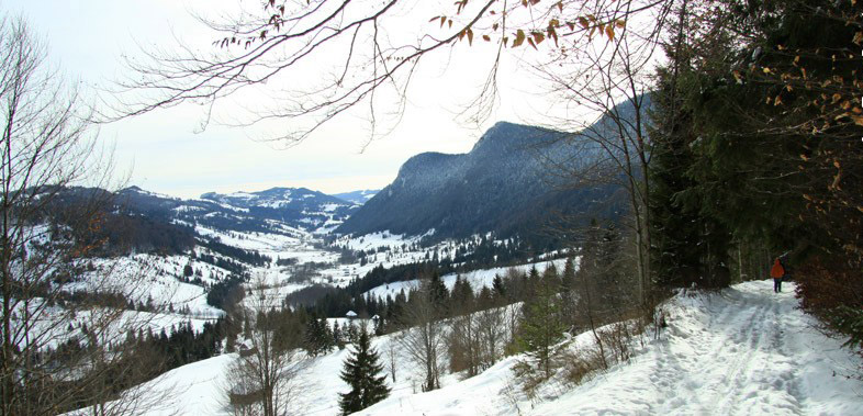 Cheile Bicazului