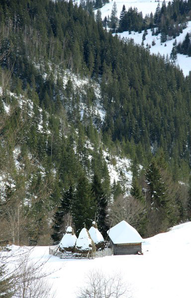 Cheile Bicazului