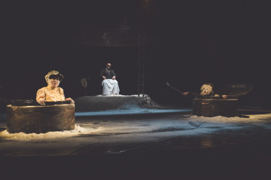 Teatrul Tineretului Piatra Neamț – spectacole perioada 24-26 februarie 2017 – fotografia 9