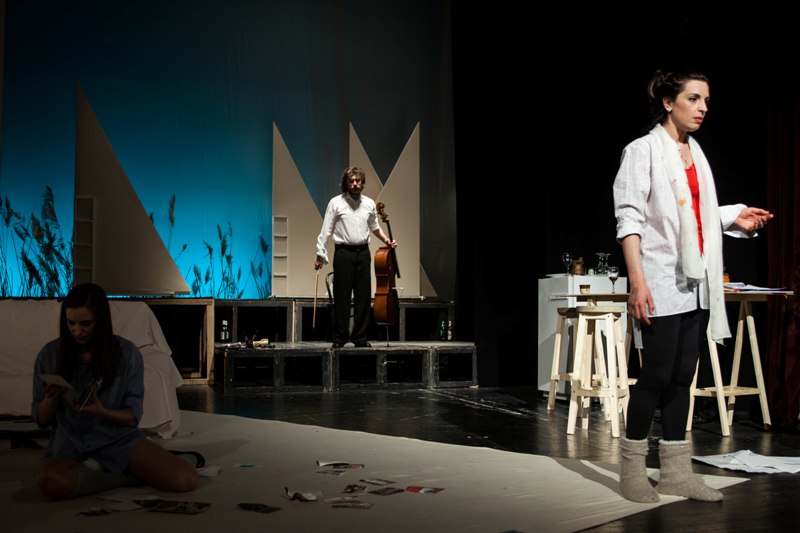 Teatrul Tineretului Piatra Neamț – spectacole 31 martie – 2 aprilie 2017 – fotografia 4