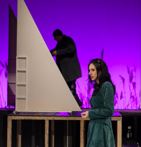 Teatrul Tineretului Piatra Neamț – spectacole 31 martie – 2 aprilie 2017 – fotografia 7