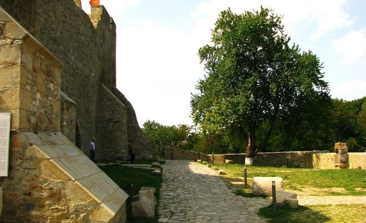 Cetatea Neamtului