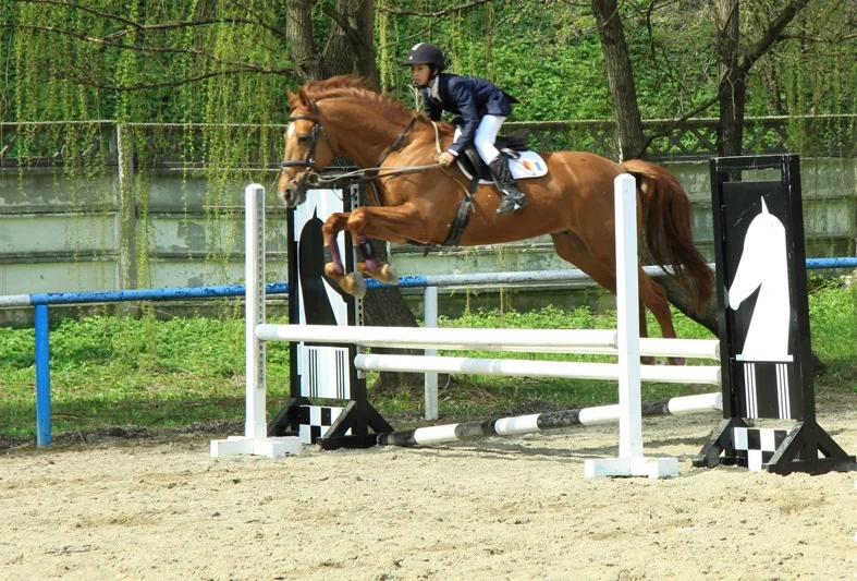 Opening of the riding school in Piatra Neamț in 2010