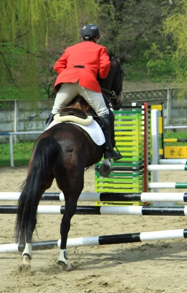 Opening of the riding school in Piatra Neamț in 2010