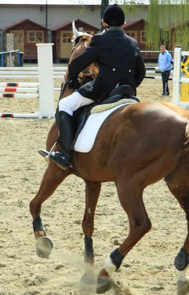 Opening of the riding school in Piatra Neamț in 2010