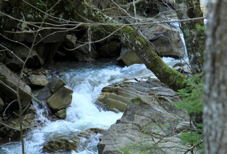 Mountain trail Tarcău – Brates – Batca Rachitei Peak