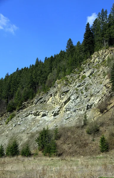 Mountain trail Tarcău – Brates – Batca Rachitei Peak