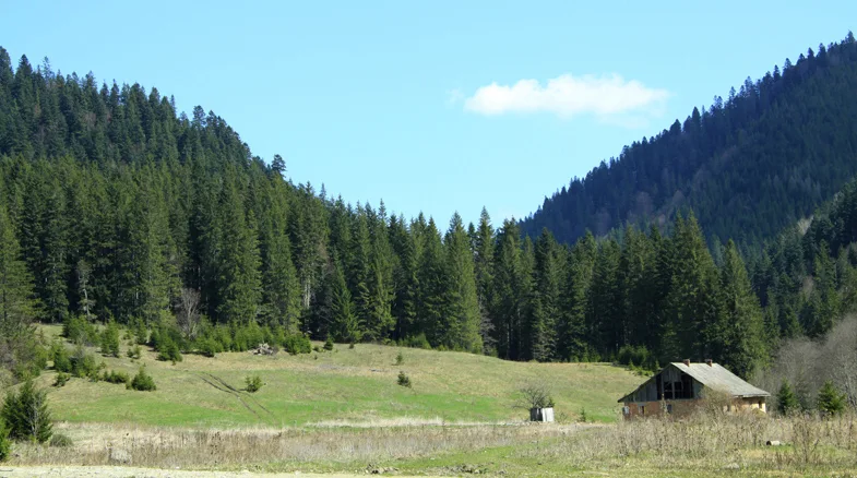 Mountain trail Tarcău – Brates – Batca Rachitei Peak