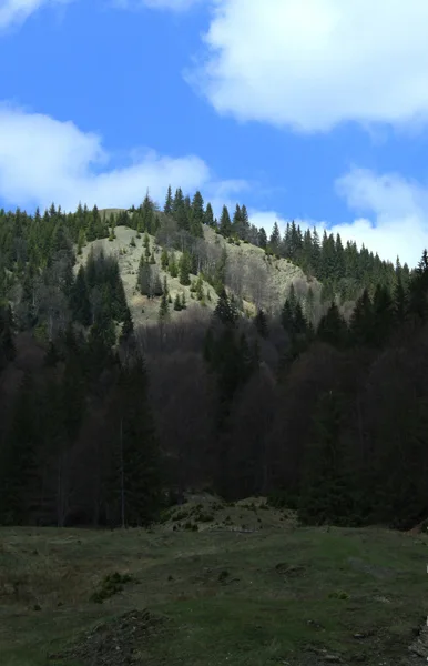 Mountain trail Tarcău – Brates – Batca Rachitei Peak