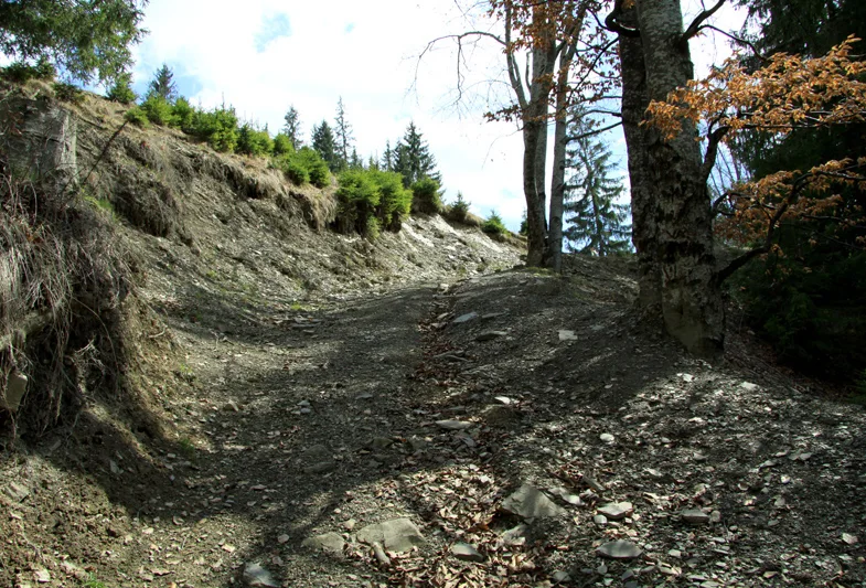 Mountain trail Tarcău – Brates – Batca Rachitei Peak