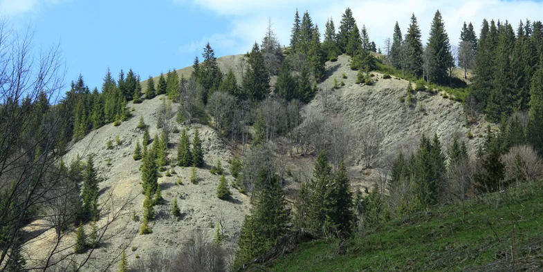 Mountain trail Tarcău – Brates – Batca Rachitei Peak