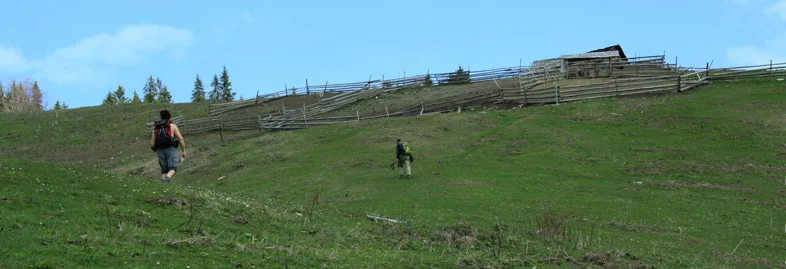 Mountain trail Tarcău – Brates – Batca Rachitei Peak