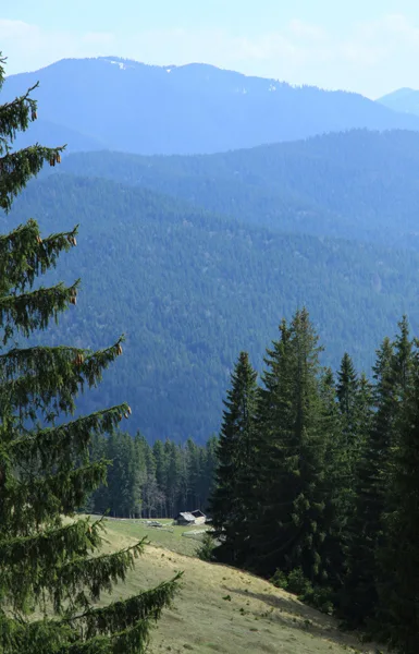 Mountain trail Tarcău – Brates – Batca Rachitei Peak