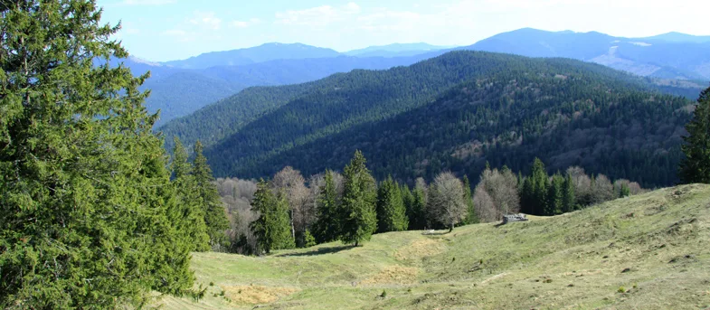 Mountain trail Tarcău – Brates – Batca Rachitei Peak