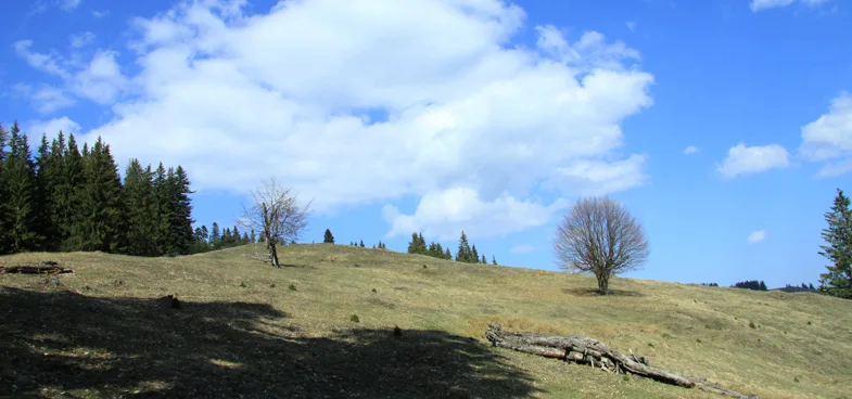 Mountain trail Tarcău – Brates – Batca Rachitei Peak